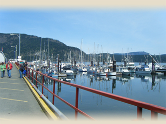 Cowichan Bay